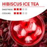 RELX Pod Pro - 3 POD Pack - 3 Pods / Hibiscus Ice tea