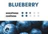 WAKA SOLO2 3000 - Blueberry