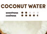 WAKA SOLO2 3000 - Coconut Water