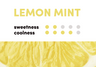 WAKA SOLO2 3000 - Lemon Mint