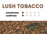 WAKA SOLO2 3000 - Lush Tobacco