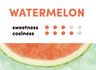 WAKA SOLO2 3000 - Watermelon